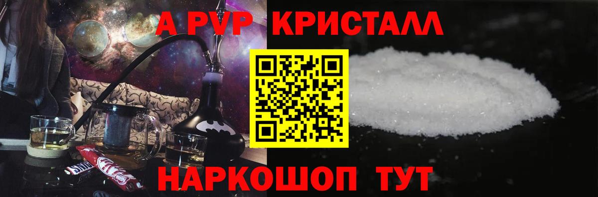 Альфа ПВП СК Каменка