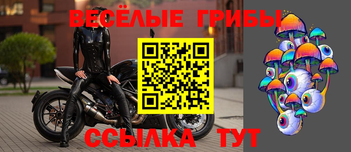 Псилоцибиновые грибы Magic Shrooms Каменка
