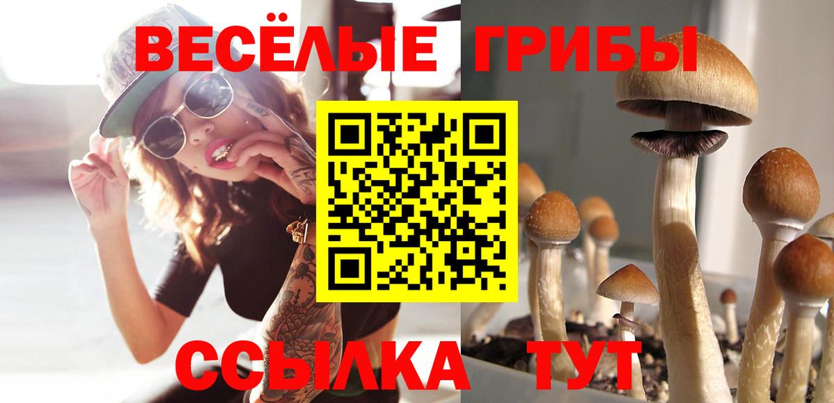 Каменка  Галлюциногенные грибы MAGIC MUSHROOMS  Вход с VPN  Псилоцибиновые грибы мухоморы 